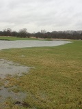KMG Waterlogged and Wet Soils Grass Seed