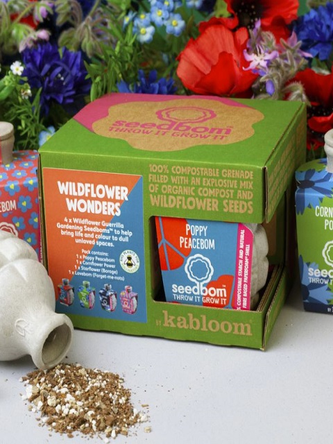 Wildflower Wonders Seedbom Gift Box