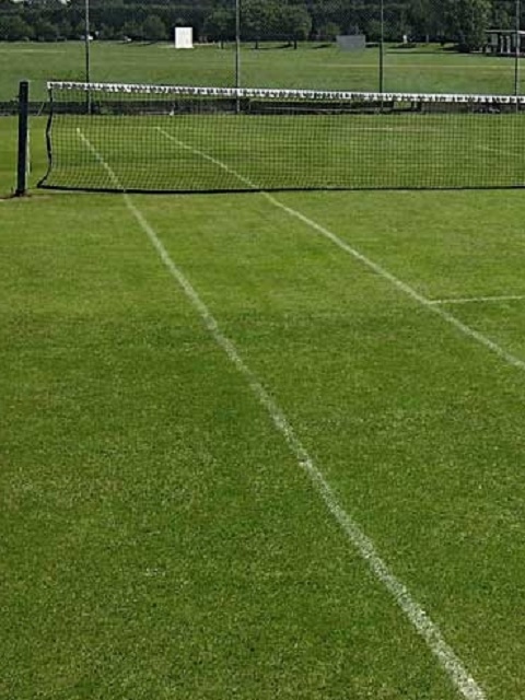 KMG Cricket & Tennis Grass Seed